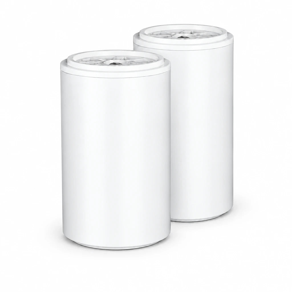 2 x Ersatzfilter Ersatzkartusche für den SMART Chlorfilter (economy shower Filter)