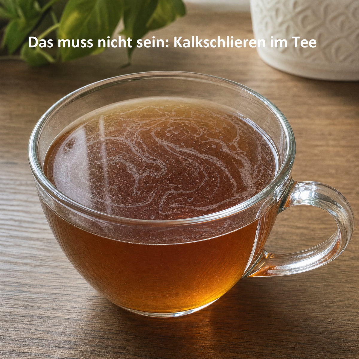 Kalko Innova Kaffeemaschine - biologischer Kalkschutz durch heterogene Katalyse